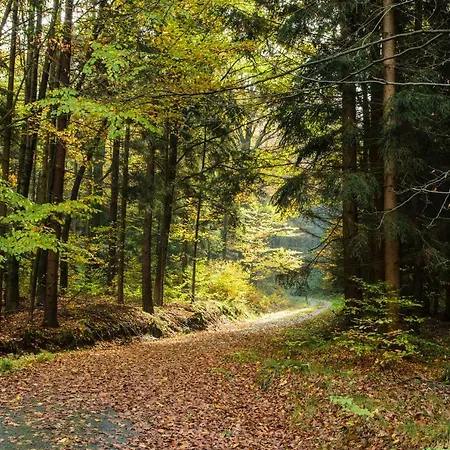 Weinberghaus Prossen, Haus Mit Sauna Und Whirlpool Fuer Maximal 8 Personen Dom wakacyjny *
